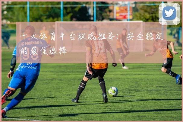 十大体育平台权威推荐：安全稳定的最佳选择