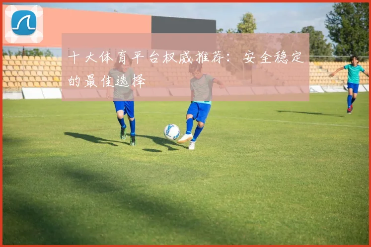 十大体育平台权威推荐：安全稳定的最佳选择