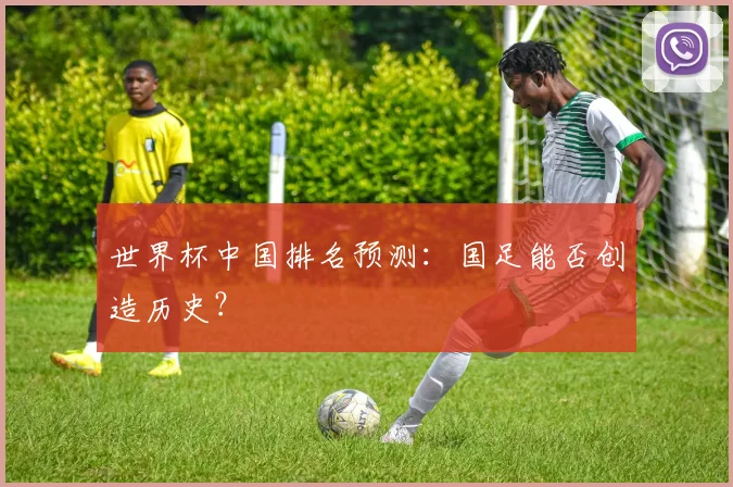 世界杯中国排名预测：国足能否创造历史？